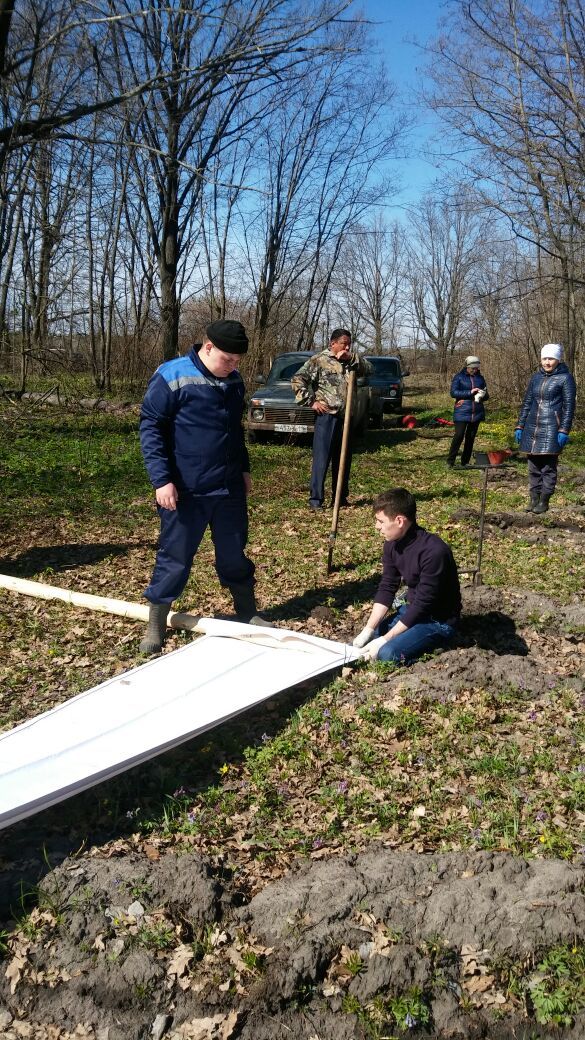 Работники лесной отрасли Нурлатского района высадили сосны на площади в 4 гектара