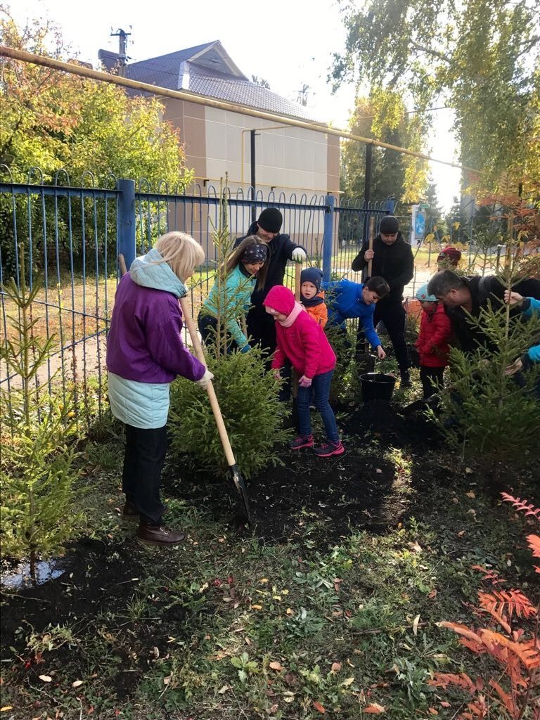 Нурлат: Детский сад «Родничок» проводит День посадки деревьев