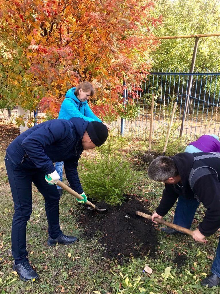 Нурлат: Детский сад «Родничок» проводит День посадки деревьев