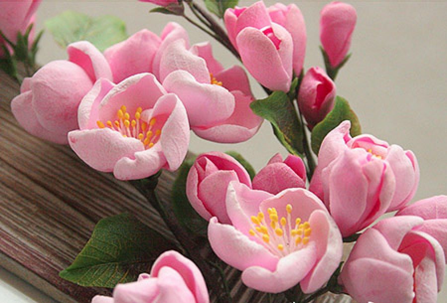 В Нурлате: клуб "Посиделки" предложит цветы для милых дам