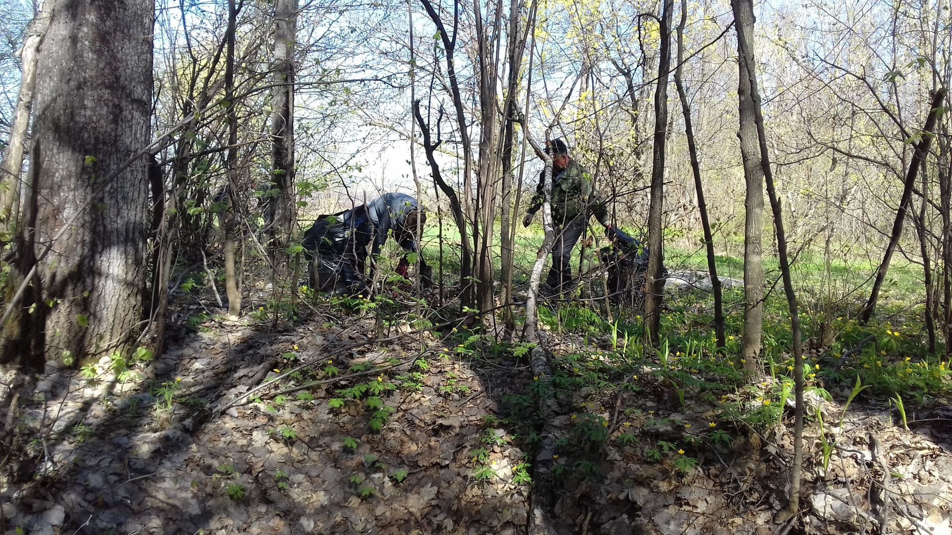 Нурлатское лесничество приняло участие в республиканской акции «Чистые леса Татарстана»