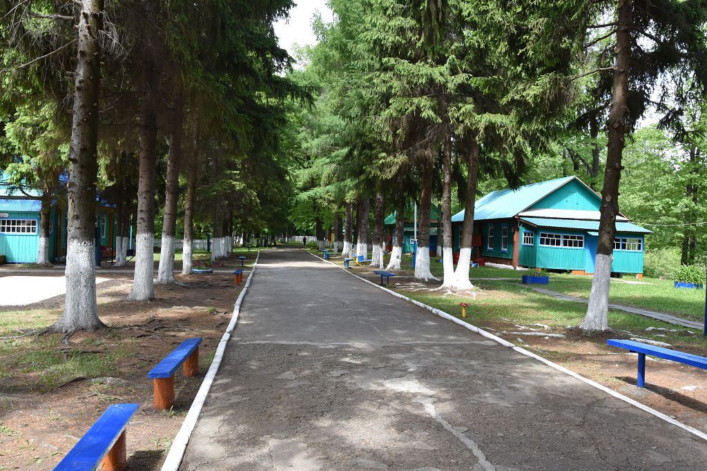 В лагере «Заречный» Нурлатского района состоялось торжественное открытие первой смены