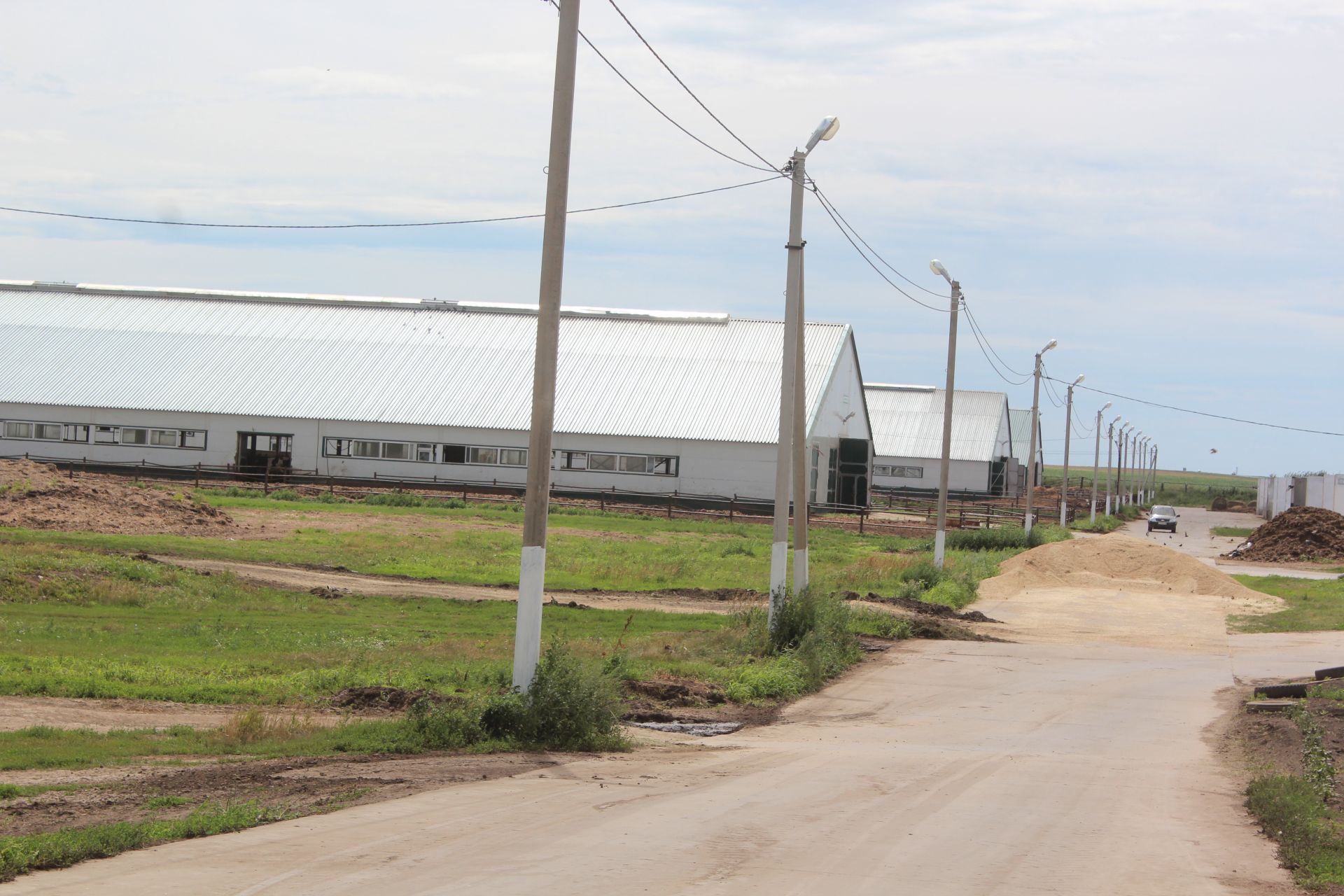 В хозяйствах Нурлатского района приступили к заготовке плющеного зерна