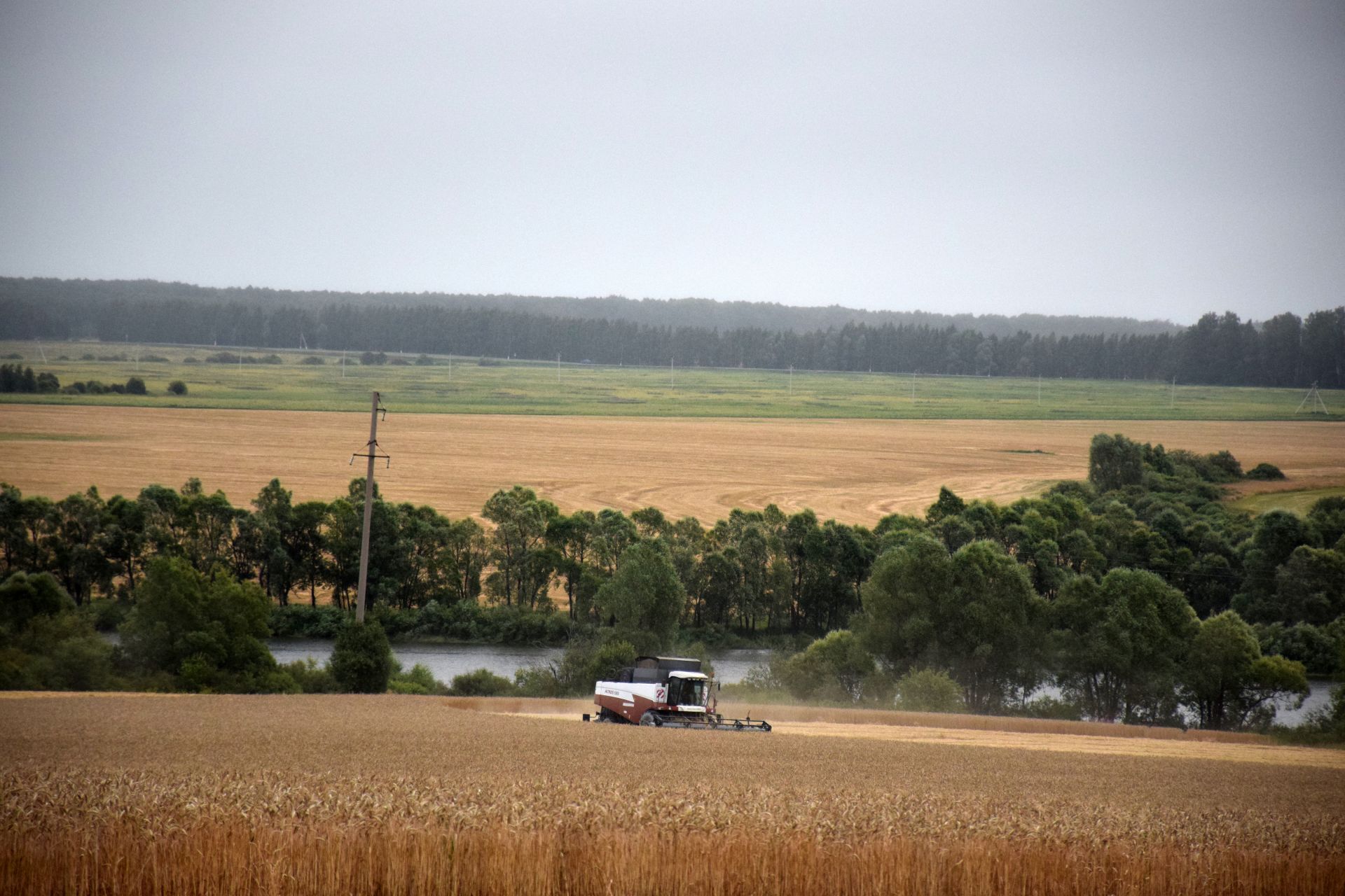 На полях «Агрофирмы «Южная» Нурлатского района активно идет обмолот озимой пшеницы
