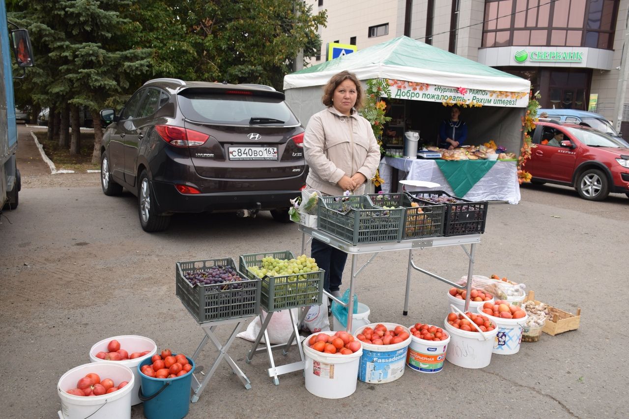 В Нурлате проходит сельскохозяйственная ярмарка