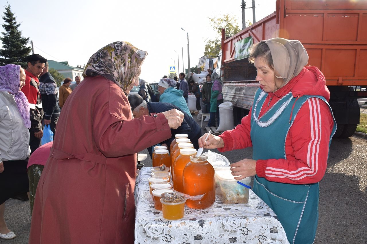 В Нурлате проходит сельскохозяйственная ярмарка