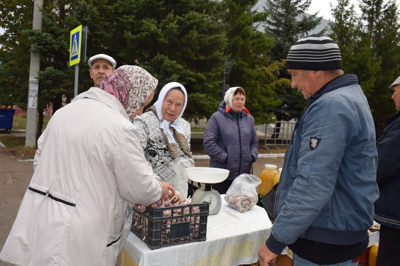 В Нурлате проходит сельскохозяйственная ярмарка