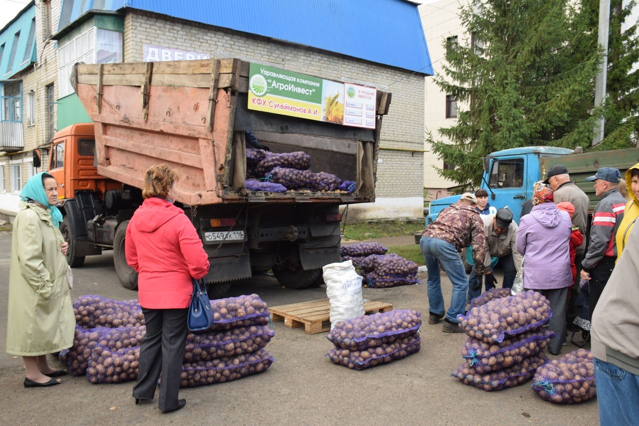 В Нурлате проходит сельскохозяйственная ярмарка