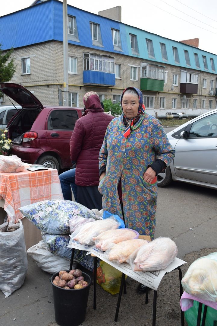 В Нурлате проходит сельскохозяйственная ярмарка