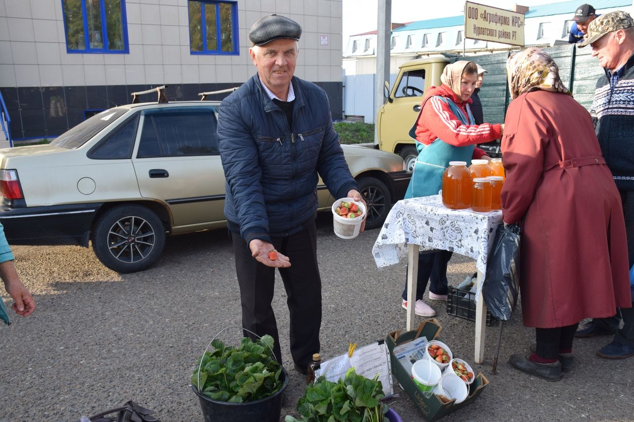 В Нурлате проходит сельскохозяйственная ярмарка