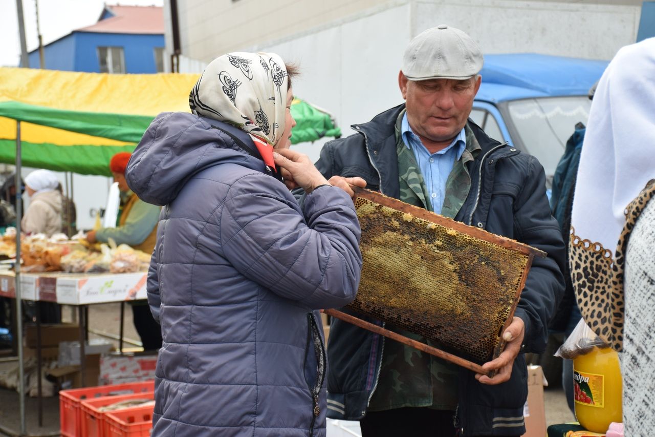 В Нурлате проходит сельскохозяйственная ярмарка