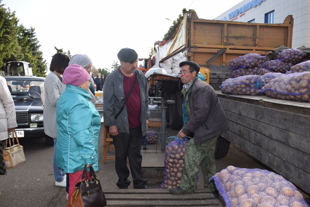 В Нурлате проходит сельскохозяйственная ярмарка