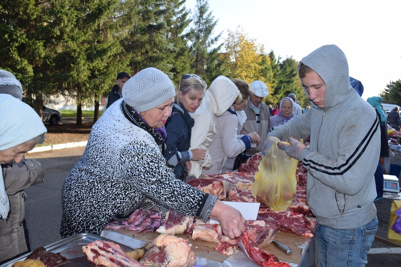 В Нурлате проходит сельскохозяйственная ярмарка