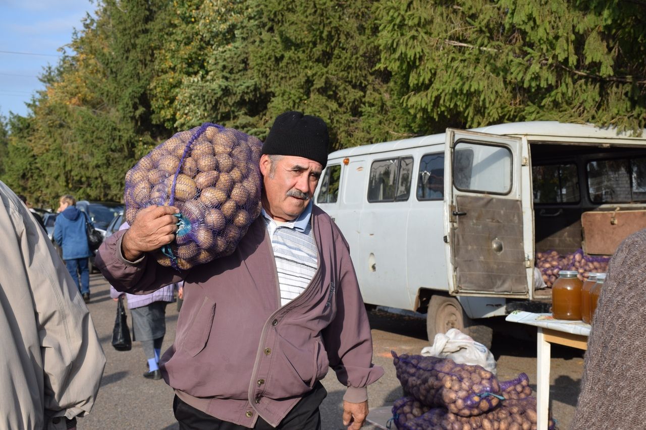 В Нурлате проходит сельскохозяйственная ярмарка