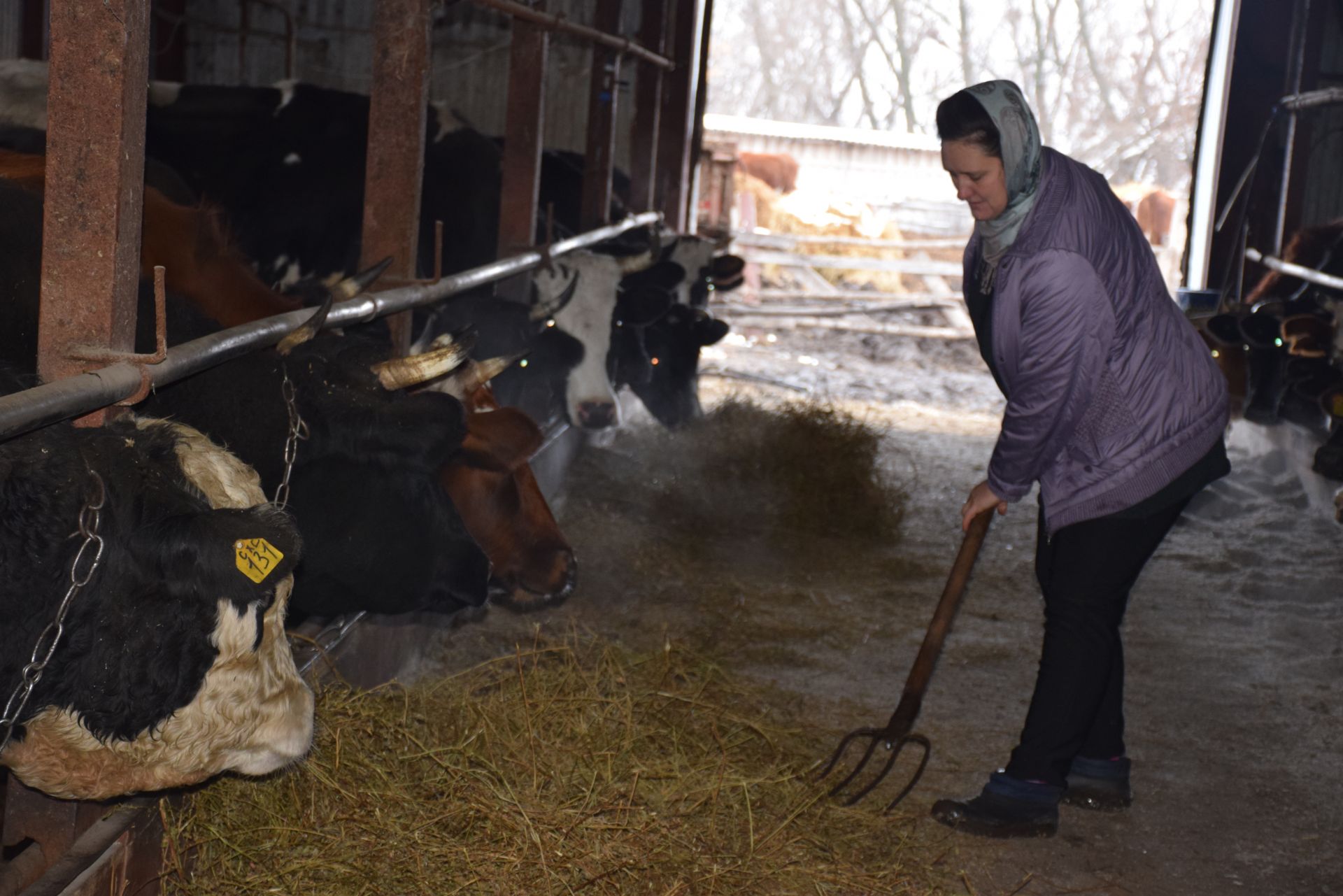 Глава Нурлатского района посетил фермерское хозяйство Сатдаровых