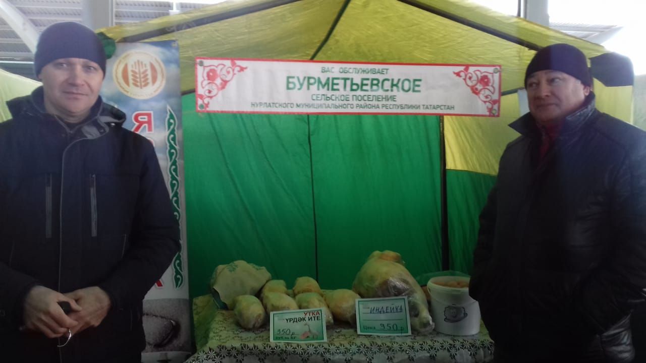 Ярмарка в Казани: сельхозпроизводители Нурлата предлагают свежие тепличные огурцы, мясо и многое другое