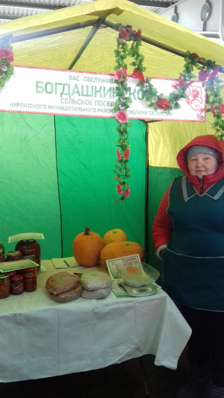 Ярмарка в Казани: сельхозпроизводители Нурлата предлагают свежие тепличные огурцы, мясо и многое другое