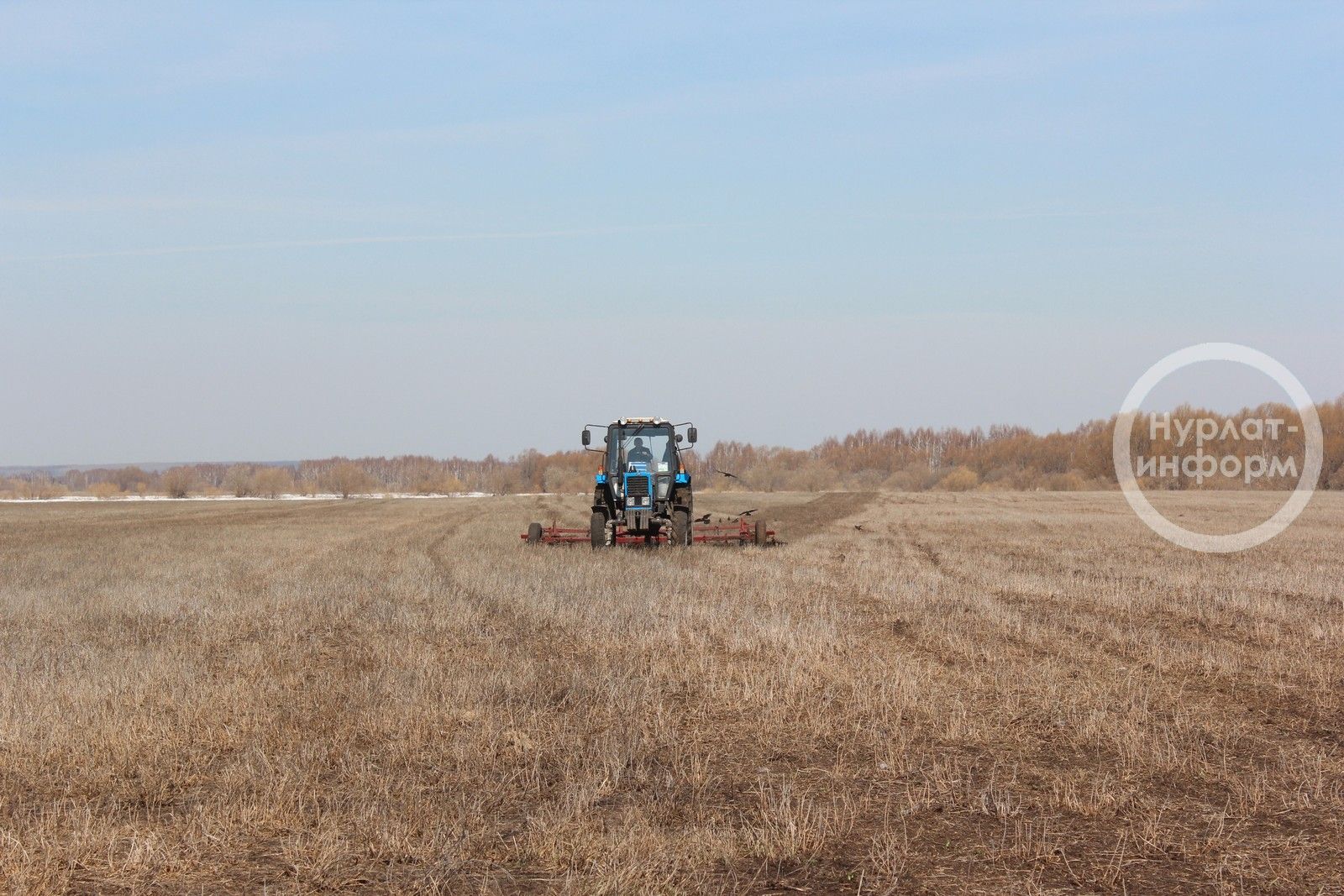 В хозяйствах Нурлатского района набирают обороты весенне-полевые работы
