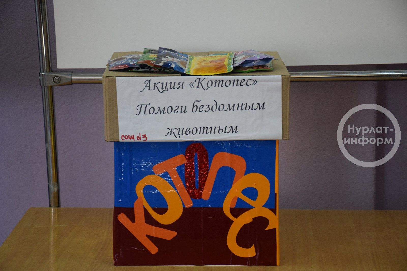 Акцию «Котопес» Нурлатской школы №2 поддержали образовательные учреждения района