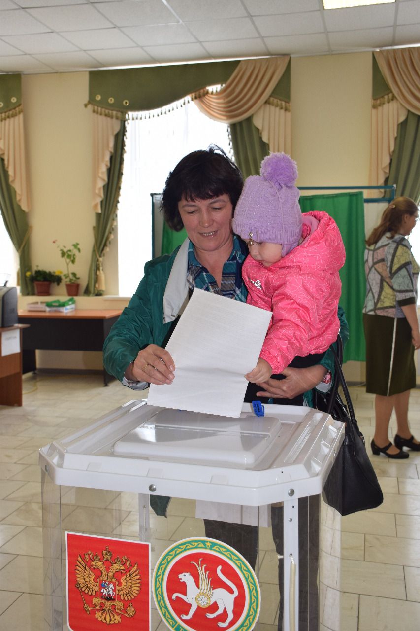 Предварительное голосование «Единой России»: активны и ветераны