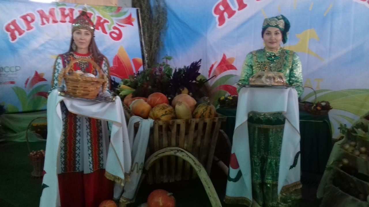 Нурлатские аграрии открыли сезон ярмарок в Казани
