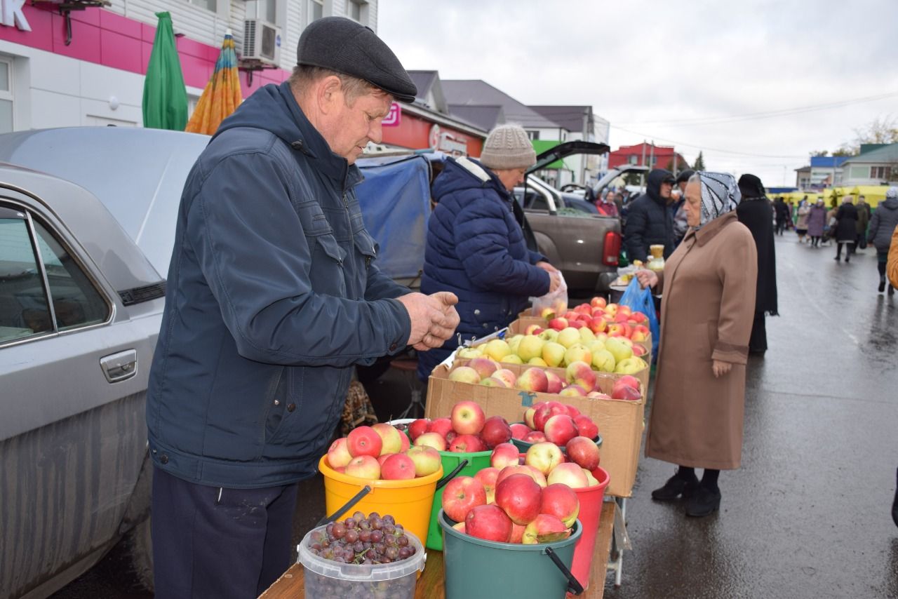 Сельхозярмарка в Нурлате: свежие ягоды от егоркинцев и социальное такси для пожилых