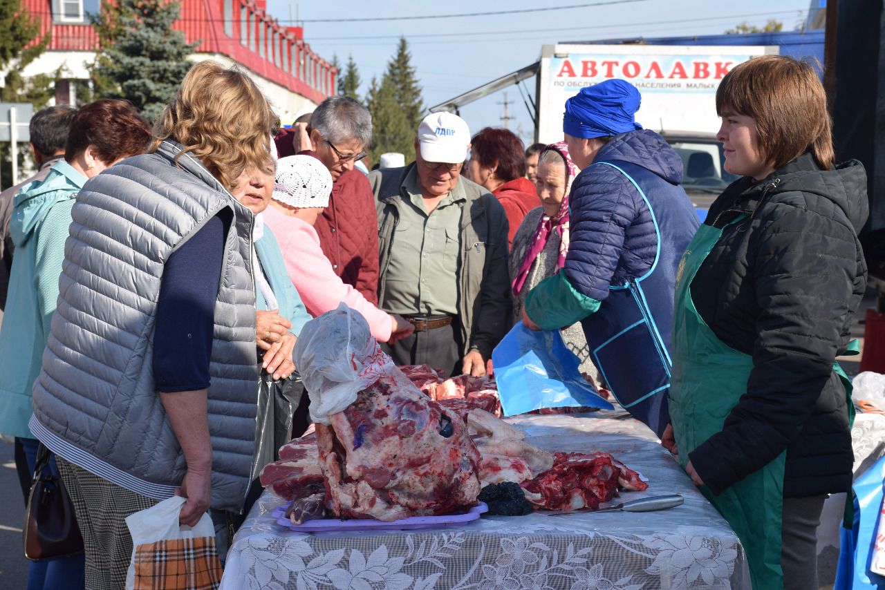 В Нурлате в Единый день голосования организована первая осенняя сельскохозяйственная ярмарка