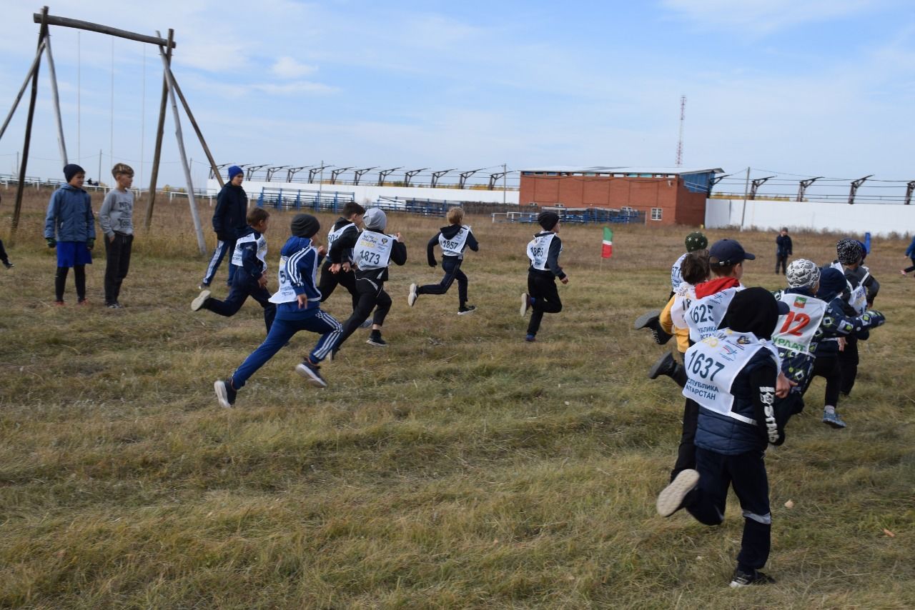Нурлатцы приняли участие в соревнованиях “Кросс Татарстана-2020”