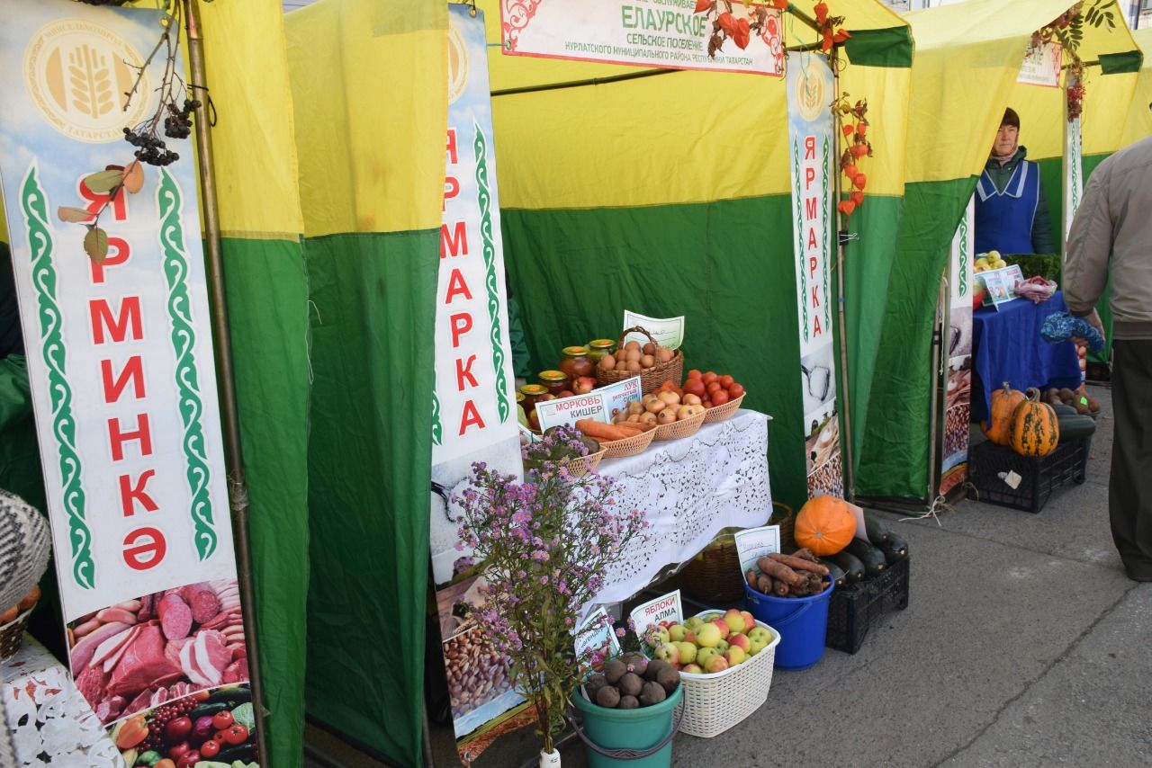 В Нурлате проходит ярмарка, посвященная Дню пожилых людей