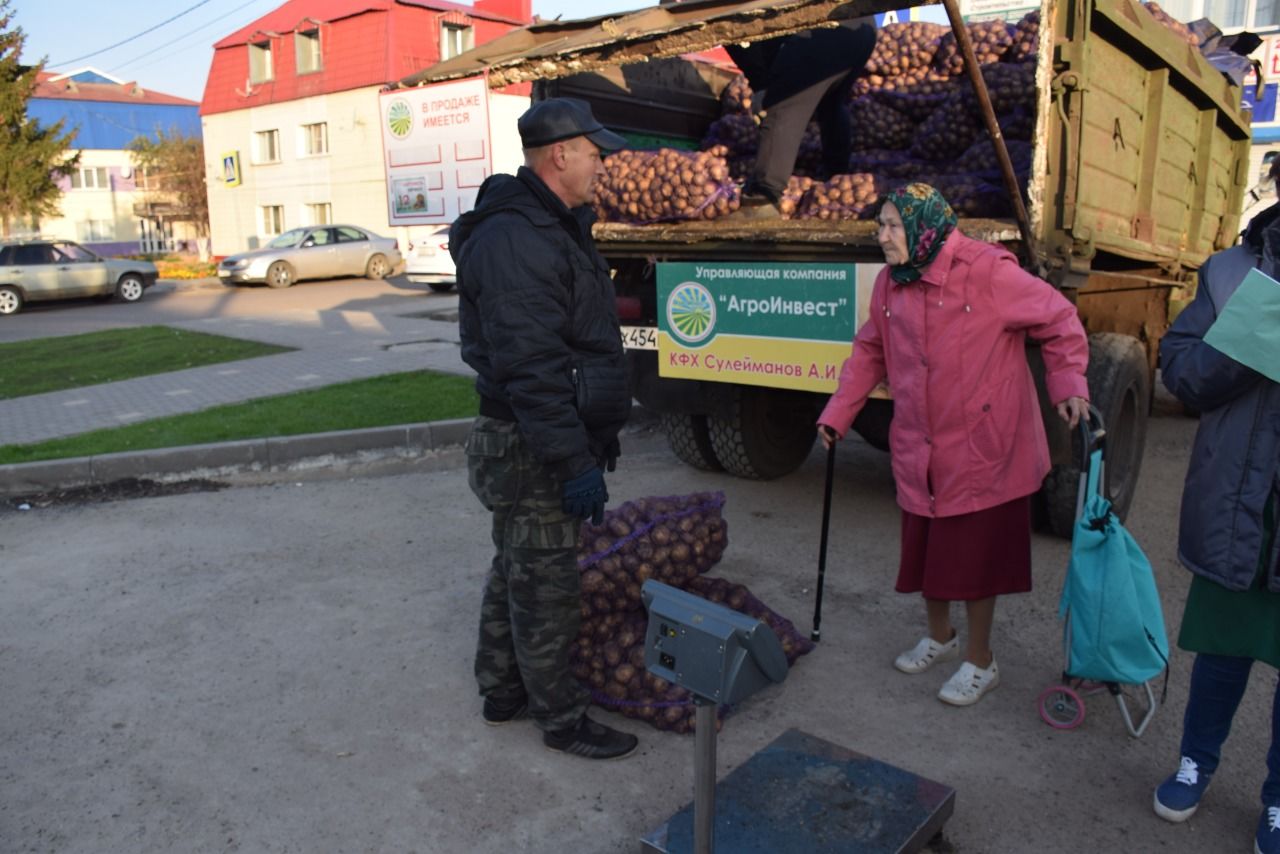 В Нурлате проходит ярмарка, посвященная Дню пожилых людей