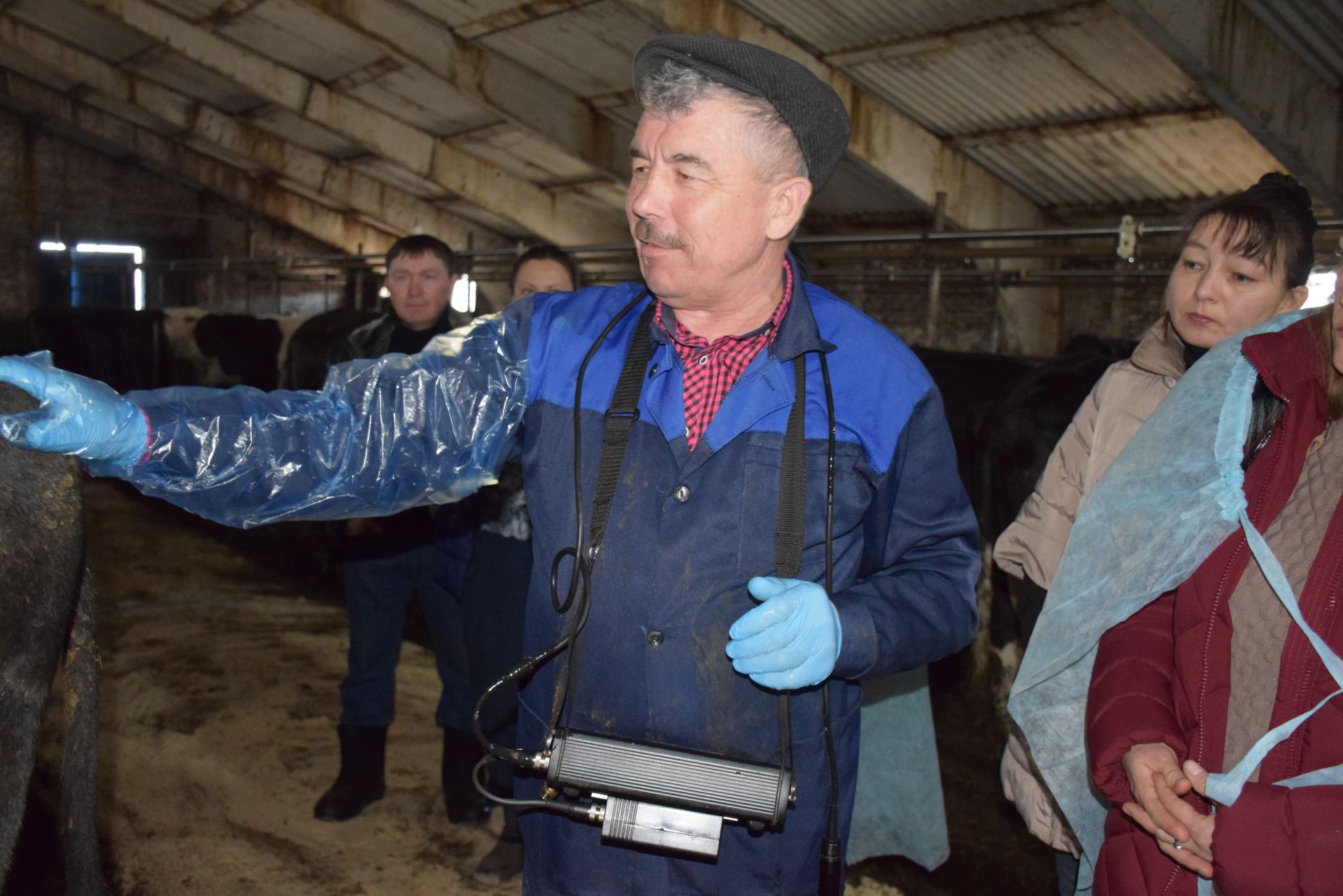 В Нурлатском районе проводят раннюю диагностику стельности коров с помощью УЗИ-аппарата