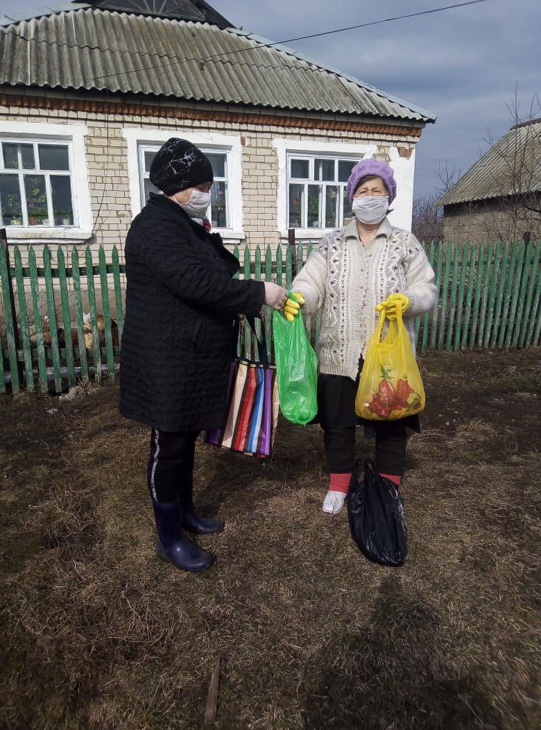 Активисты «Единой России» в период особого режима организовали помощь населению старше 65 лет