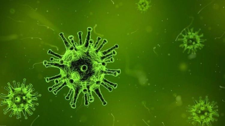 Нурлат: В соседнем Алексеевском районе подтвердился 1 случай заболевания коронавирусной инфекцией