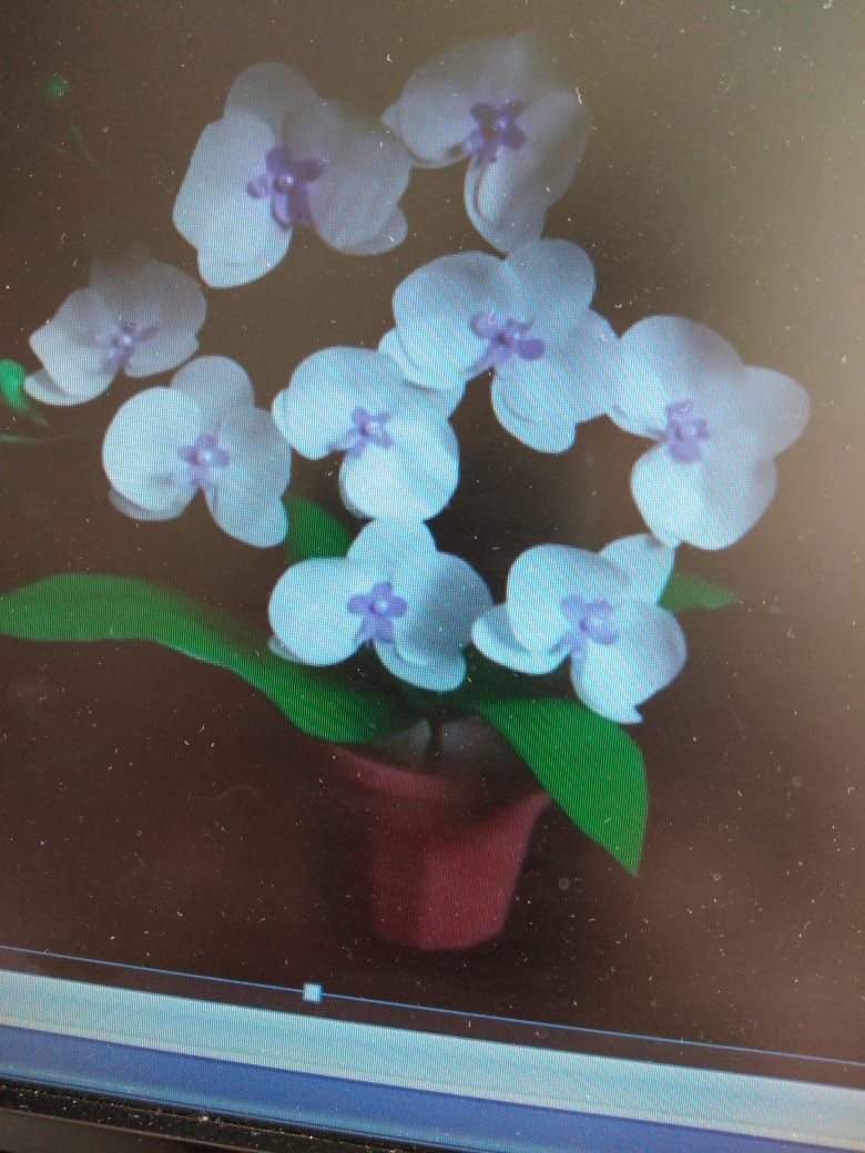 Воспитатель детсада «Алсу» Гульнур Маняпова мастерит цветы из полиэтилена
