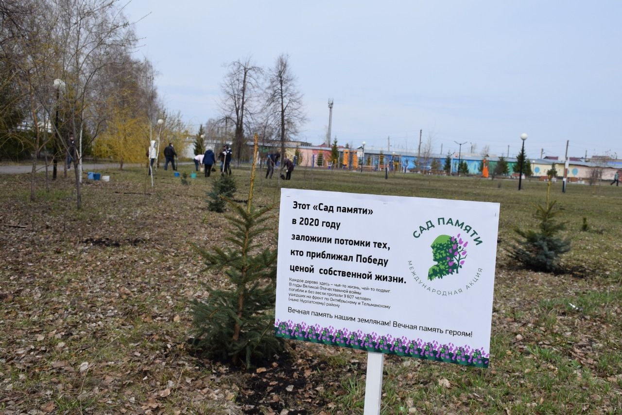 В центральном парке Нурлата заложили «Сад памяти» в память о великом подвиге нурлатцев  в Великой Отечественной войне
