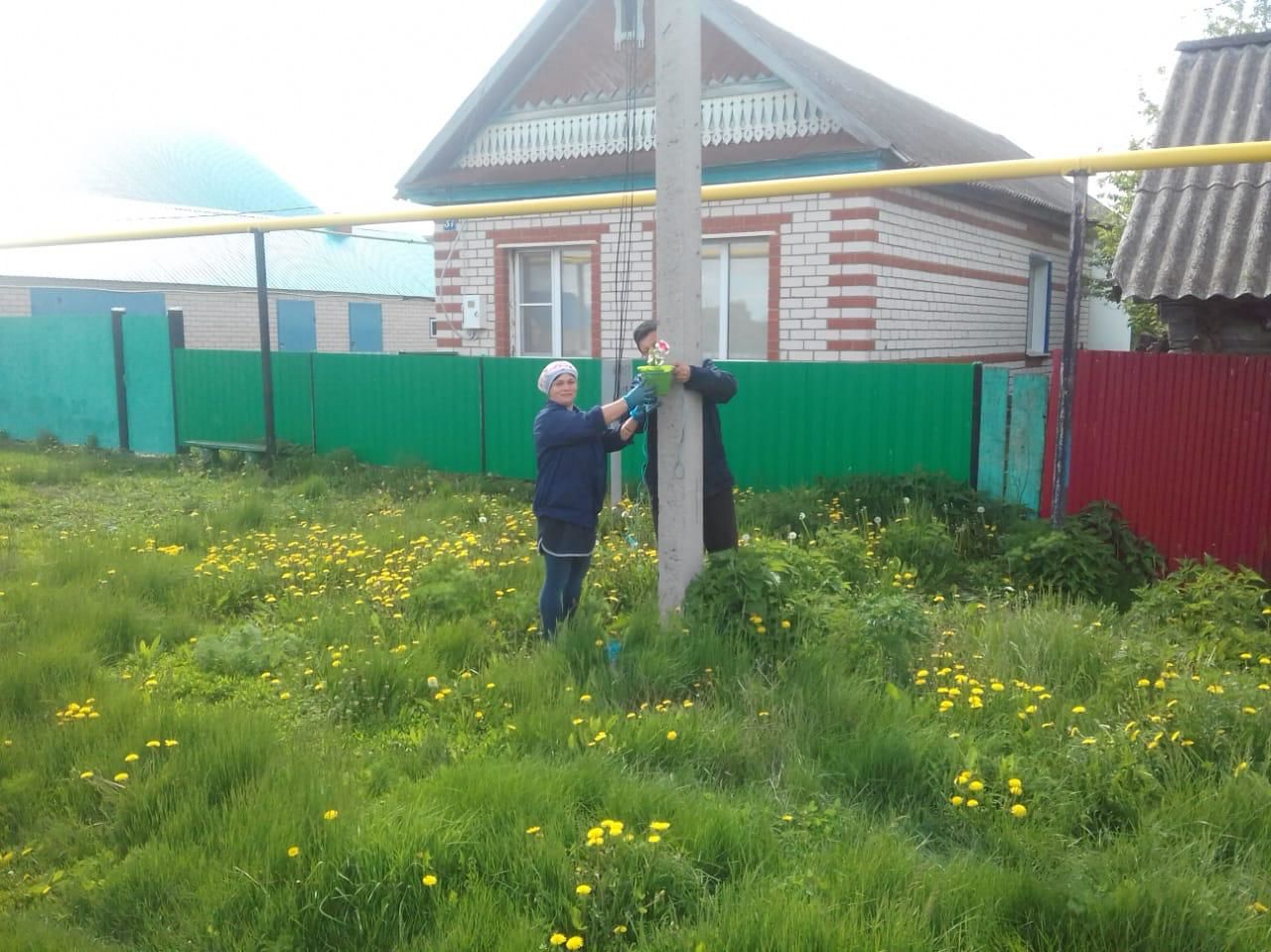 Жители улицы Чапаева села Фомкино дружно посадили цветы