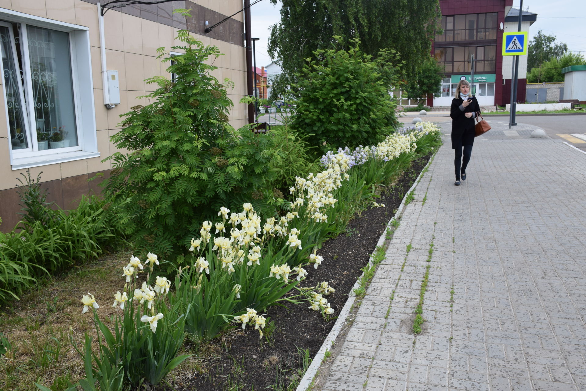 В городе Нурлат объявлен конкурс на лучшее благоустройство, озеленение и цветочное оформление города &nbsp;
