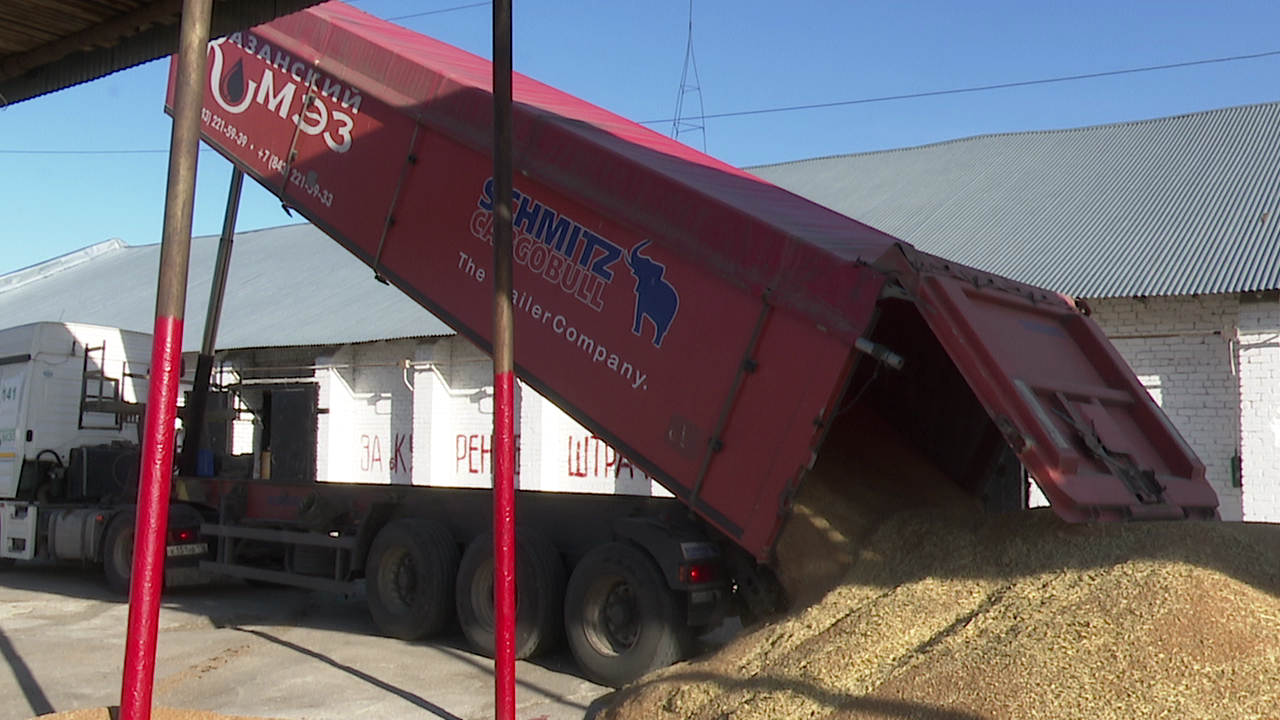 В ООО «Агропорт-Халяль»  началась приемка зерна