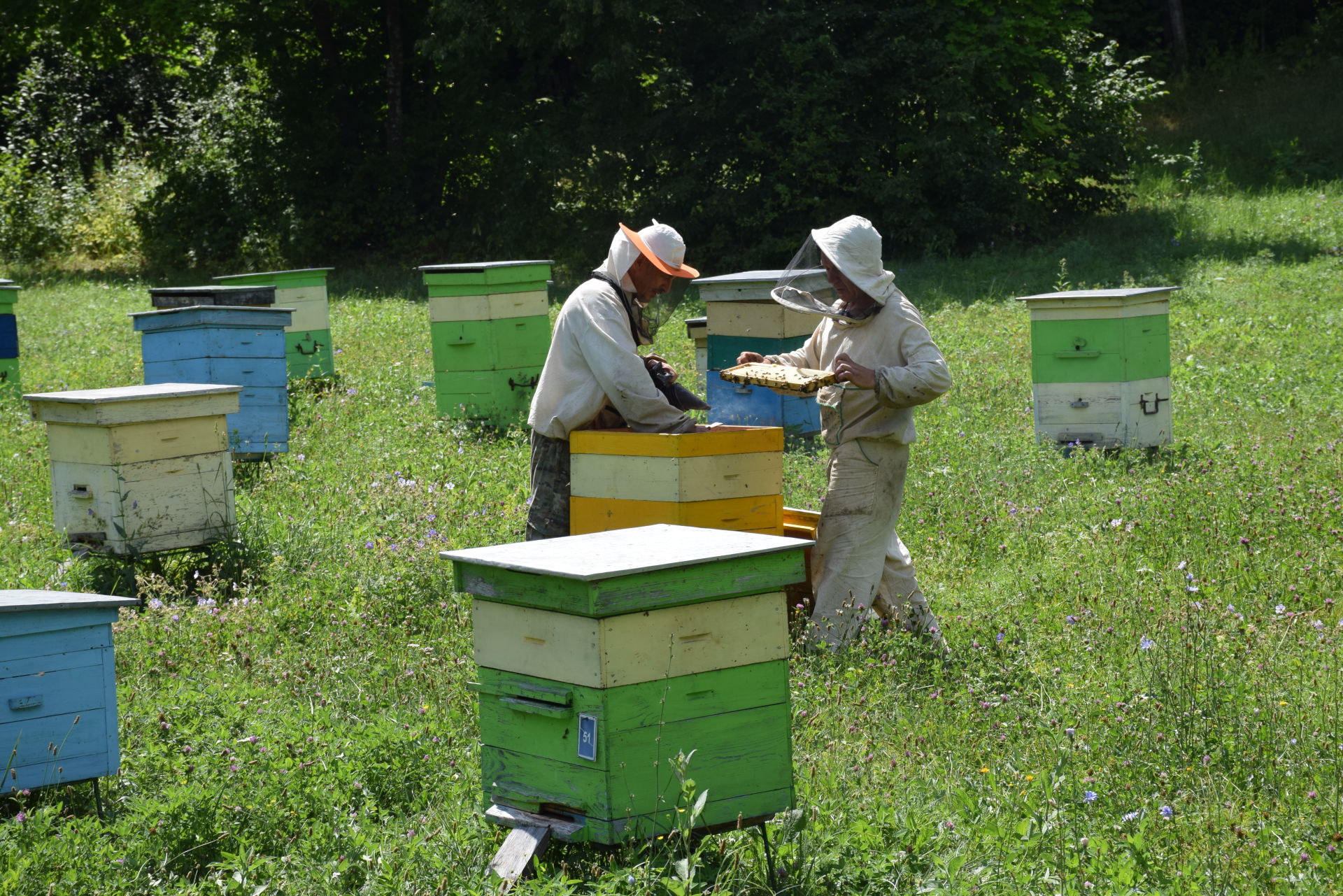 Пчеловоды Марат Хайбуллин и Наиль Валиуллин Чулпановского участкового лесничества готовы к сбору меда