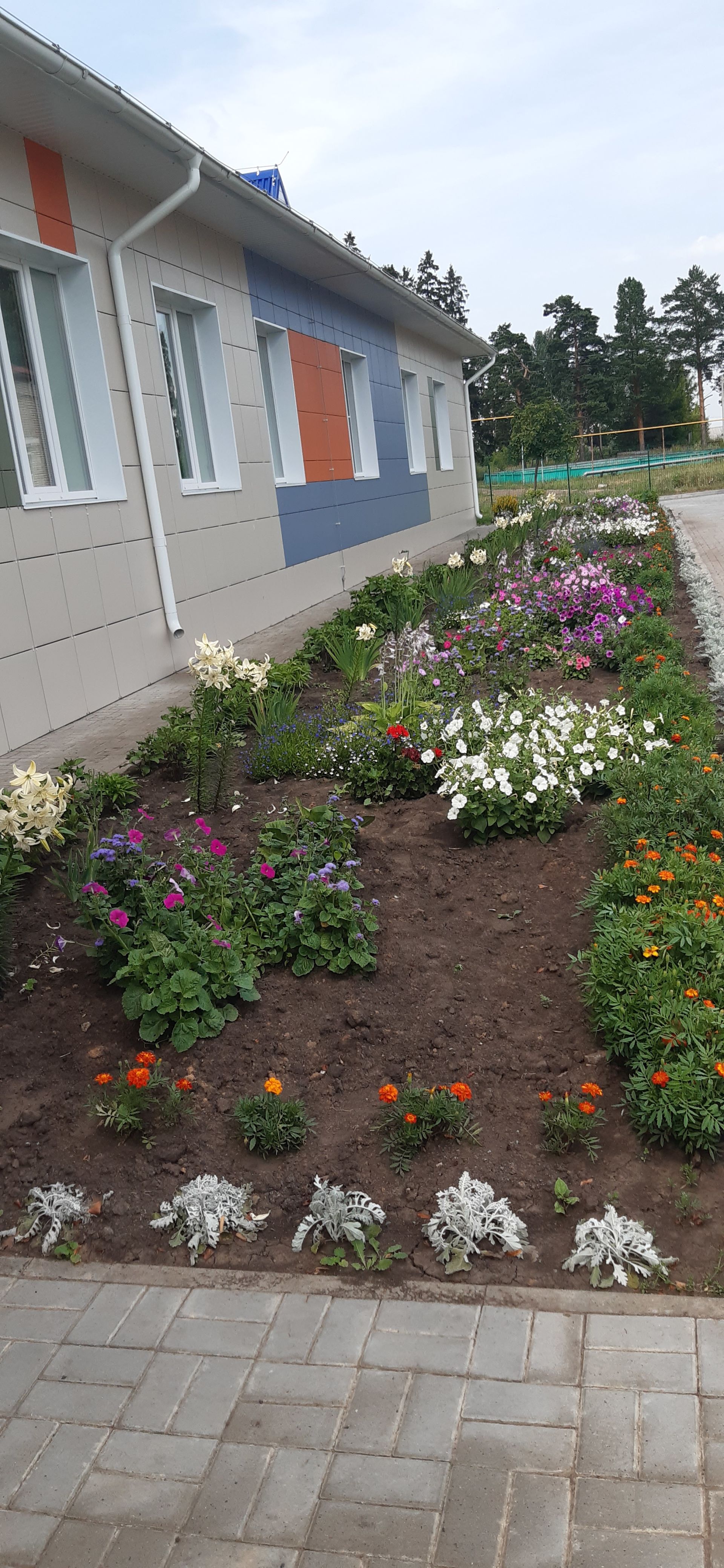 Детский сад "Рябинка" из села Мамыково принимает участие в фотоконкурсе "Цветы в моем саду"