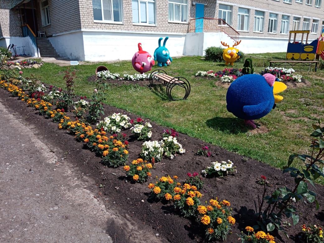 С началом лета на участке детского сада «Елочка» расцвели цветочные клумбы