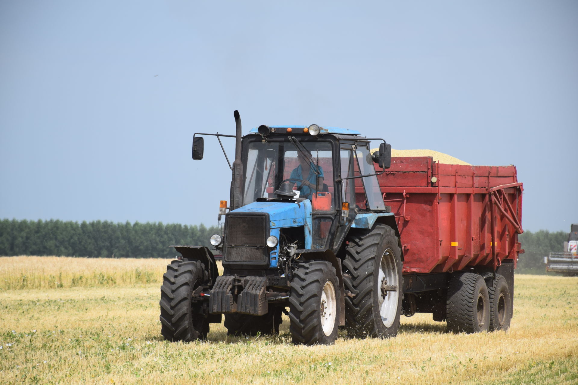 Татарстанские работники агроотрасли собрали первый миллион тонн зерна урожая 2020