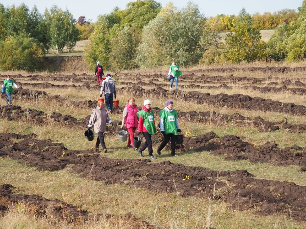 В селе Фомкино высадили 12 000 саженцев деревьев