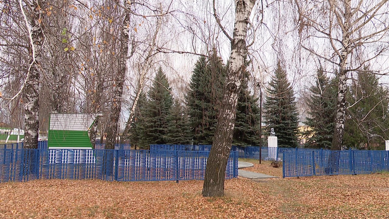 Алмаз Ахметшин посетил центральный парк села Тюрнясево