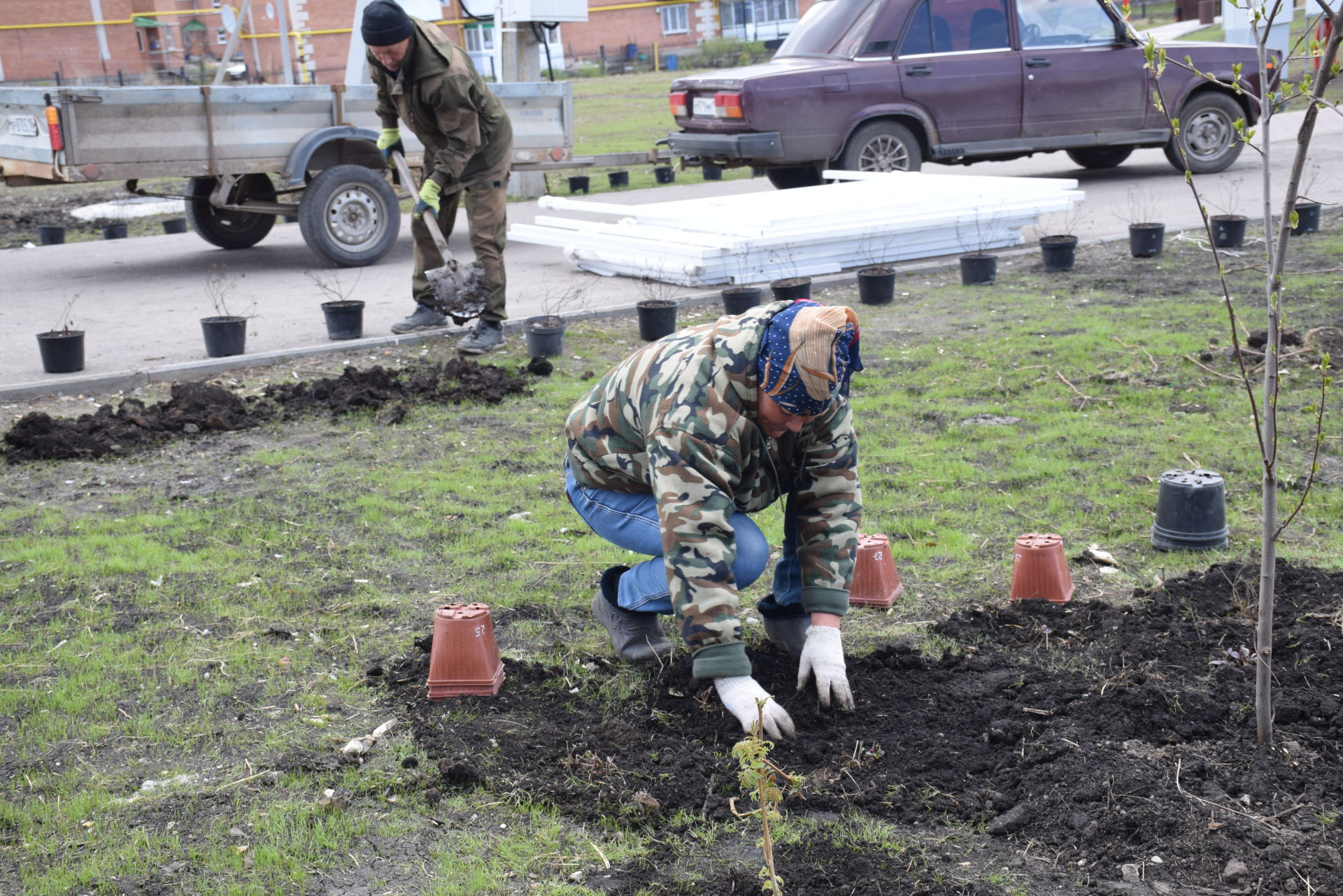 В Нурлате для озеленения и украшения города начали высаживать цветы и кустарники