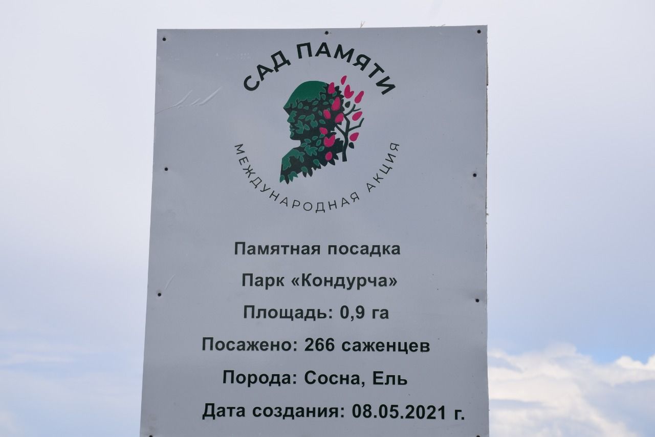 В Нурлате ландшафтный парк «Кондурча» украсили зеленые талисманы Победы