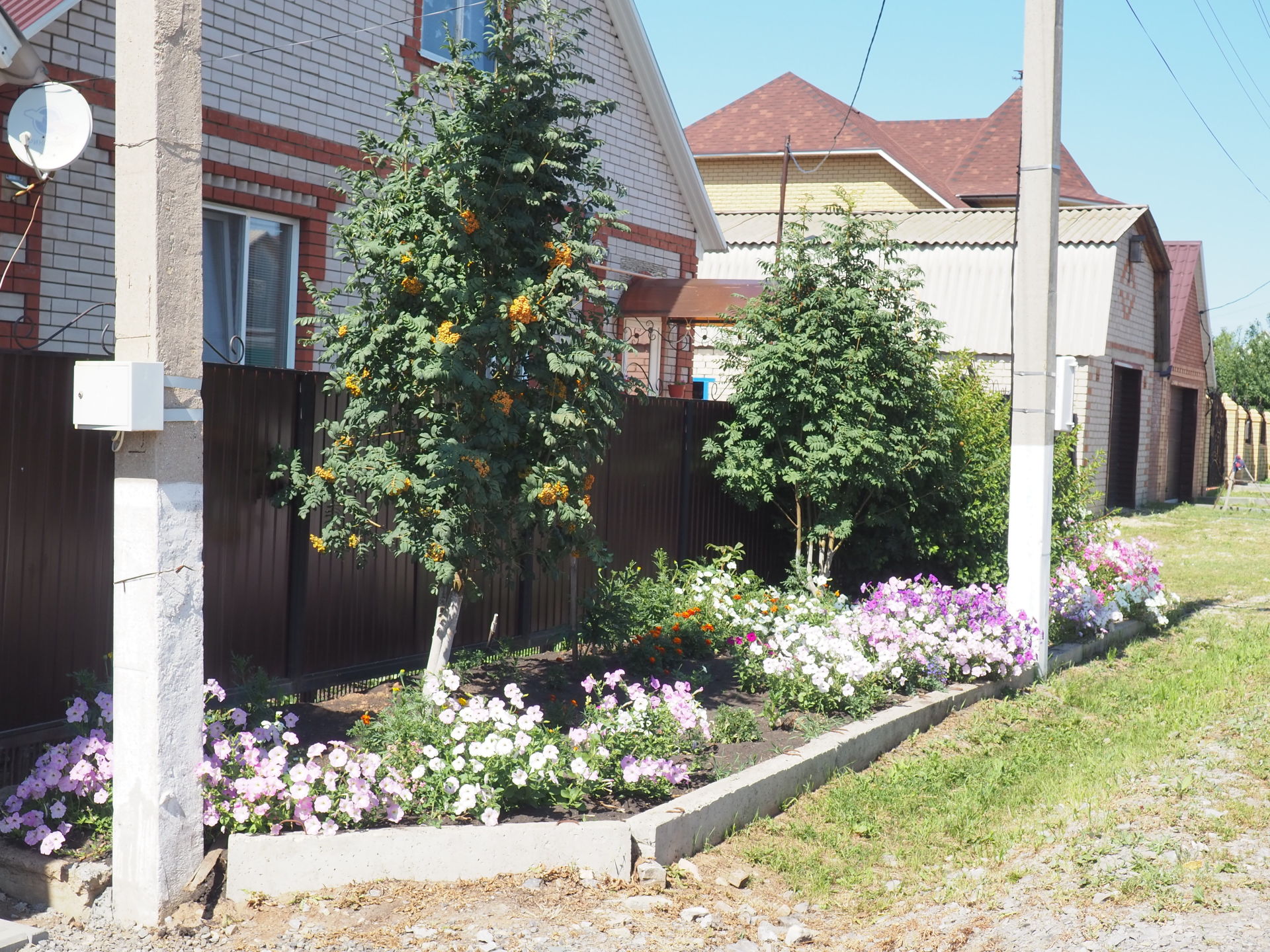 В Нурлате планируют создать свою ассоциацию цветоводов