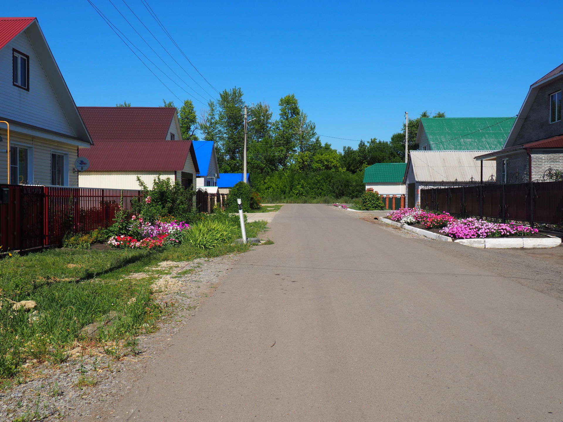 В Нурлате планируют создать свою ассоциацию цветоводов