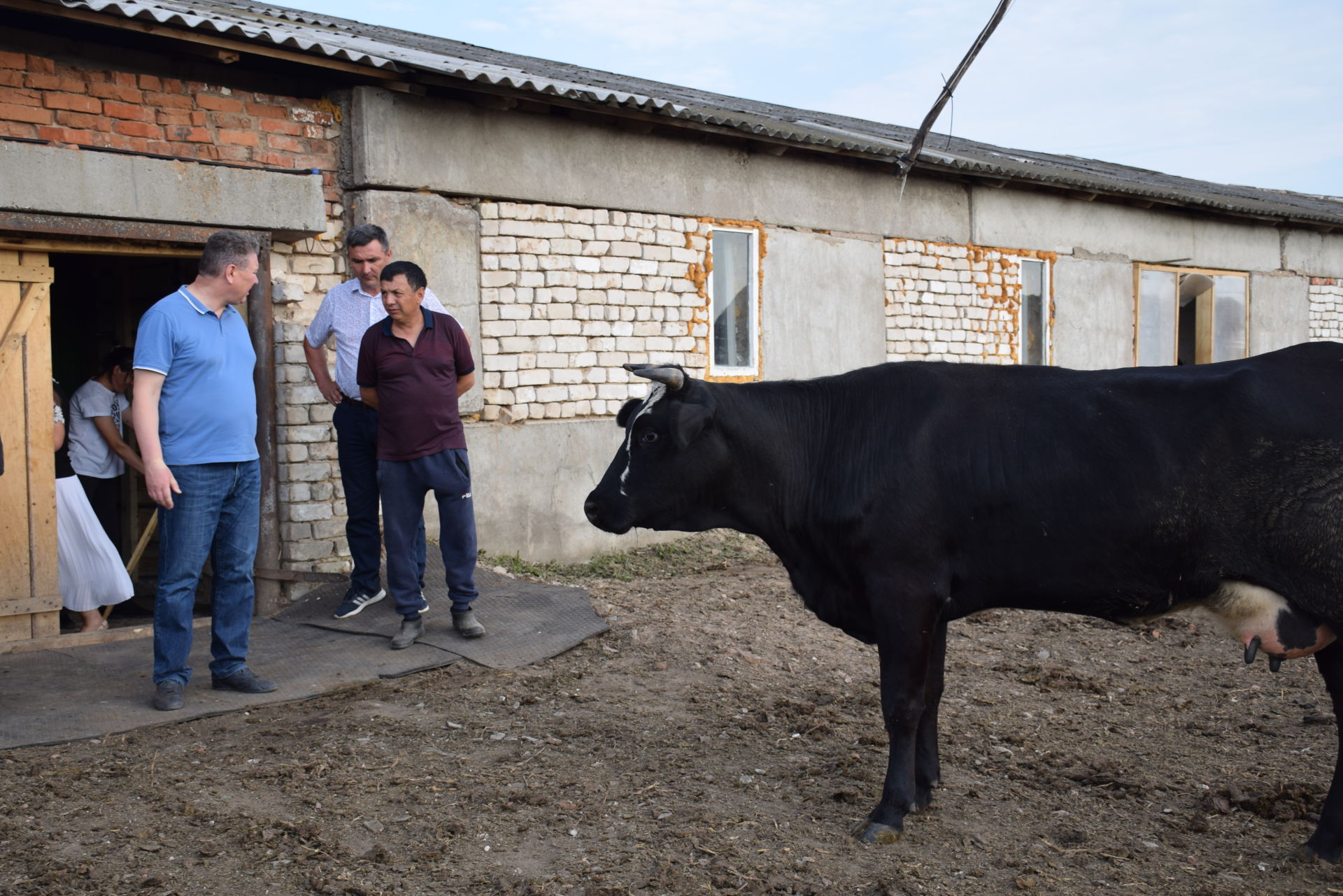 Глава Нурлатского района ознакомился с ходом заготовки кормов в Богдашкине