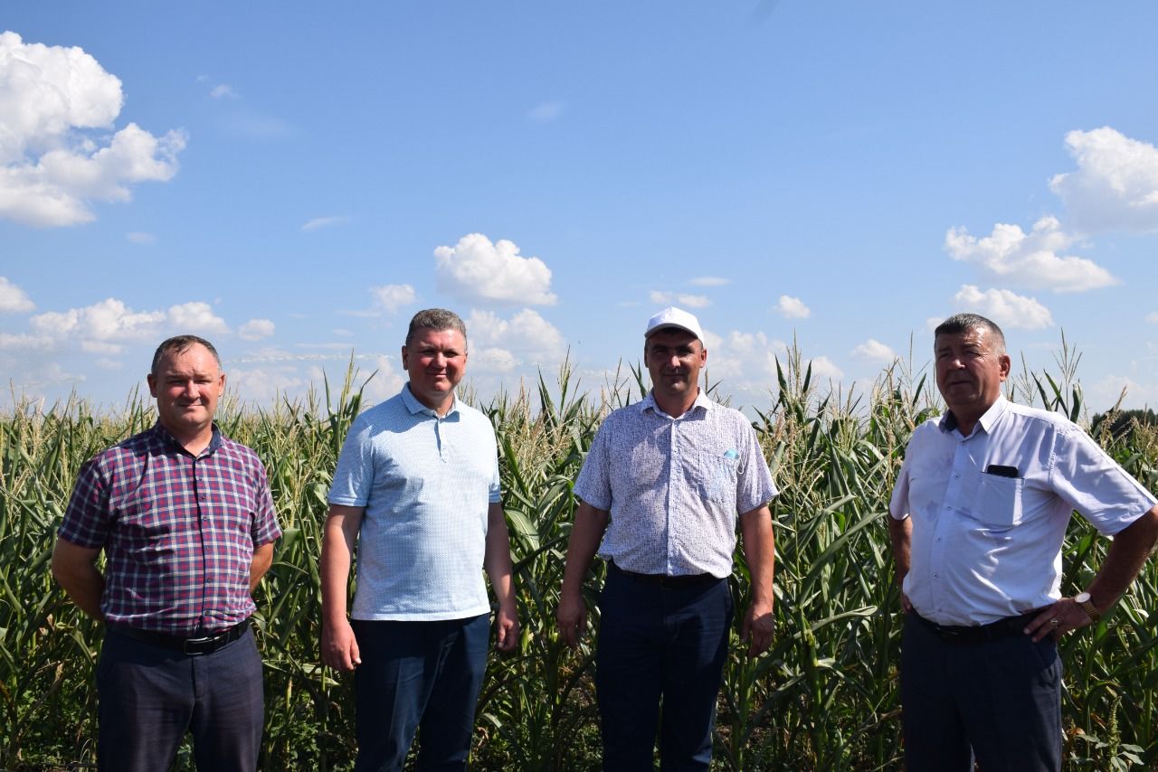 Глава Нурлатского района ознакомился с организацией орошения полей в КФХ «Сулейманов А.И.»